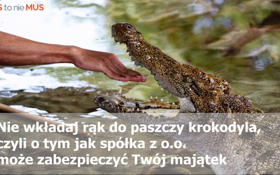 Nie wkładaj rąk do paszczy krokodyla, czyli o tym jak spółka może zabezpieczyć Twój majątek